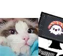 tzuwylookingatsushii