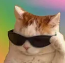 SwagCat SwagCat