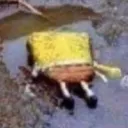 SpongeDepress