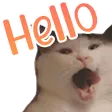 hellocat Discord Emoji