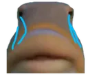 ikansad