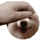 goodboi