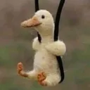 sedduck