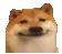 doggosmile