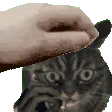 patvision patvision