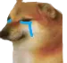 iAMsad