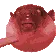 8880puffervalid