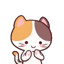 6399meongnobodycares