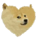shibaheart