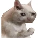 thumb_sadcatdiscordemoji53937370 Discord Emoji