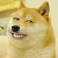 doge_kek