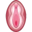 vagina