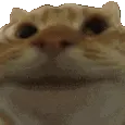 Yes