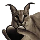 FloppaBLheart FloppaBLheart