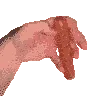 weenie