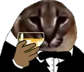 floppaToast