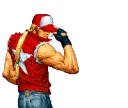 TerryCap TerryCap