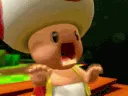 toad toad