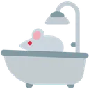 2690mouseintheshower