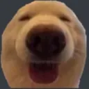 wof