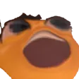 beepog