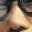kojimboenhance kojimboenhance