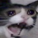 Sad Sad