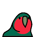 bangladeshparrot