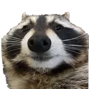raton