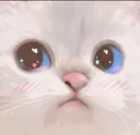 cat Discord Emoji
