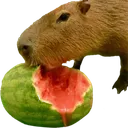 Capymelon