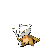 Marowak