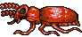 PA_event_Paussinae_Beetle Discord emoji