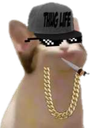 thugkat Discord emoji