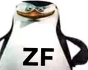 zf
