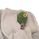 KermitBlanketCozy Discord emoji
