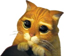 Shrek_Cat_Please Discord emoji