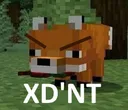 XDNT