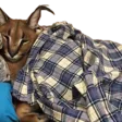 FloppaSleep