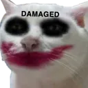damaged_cat Discord Emoji