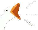 goosehonk
