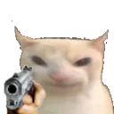 bruhcatgun