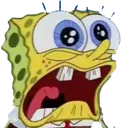 SpongeBoohoo