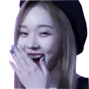 Winterkek