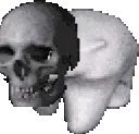 skullbear