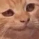 smork smork