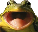 Frog Pog frogpog Discord Emoji