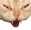 catscream1
