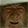GandalfPls GandalfPls