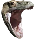 HDKomodo HDKomodo